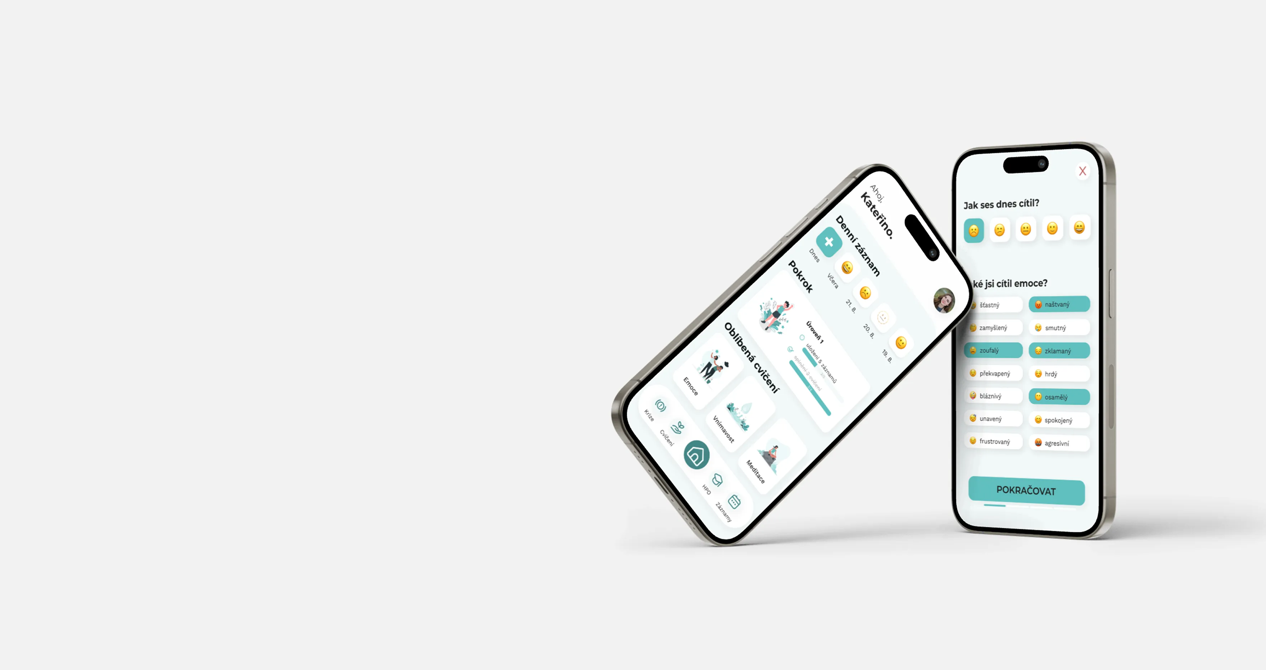 Ukázka mobilní aplikace HPO